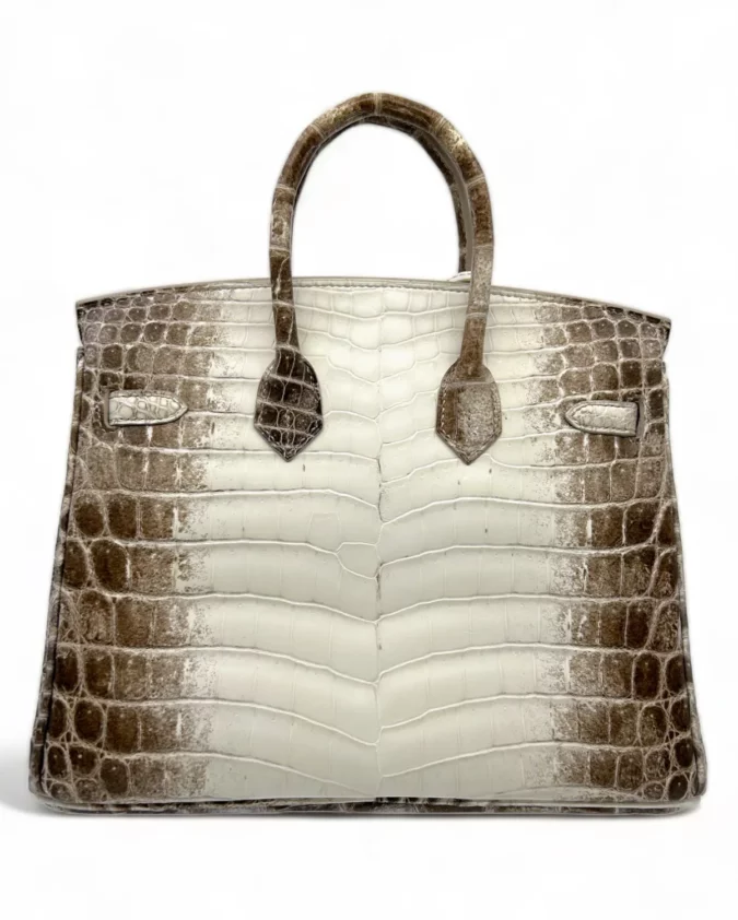 Birkin 25 Niloticus Crocodile Himalaya Blanc – Image 2