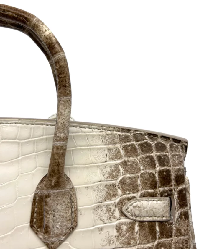 Birkin 25 Niloticus Crocodile Himalaya Blanc – Image 7