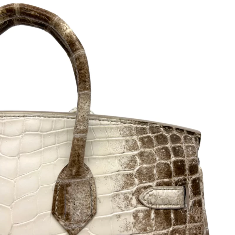 Birkin 25 Niloticus Crocodile Himalaya Blanc – Image 7