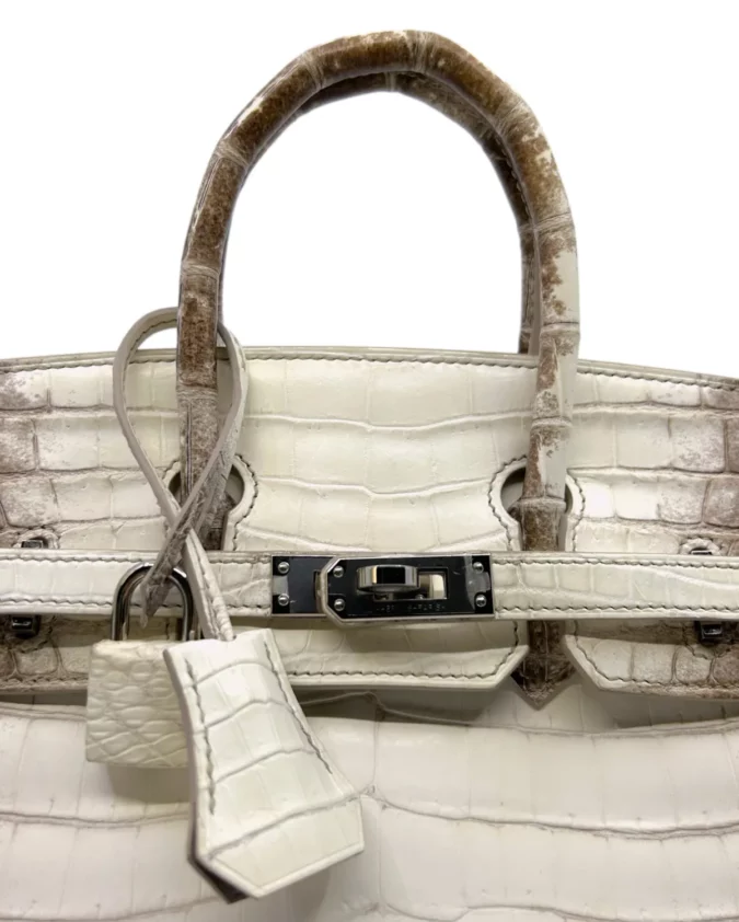 Birkin 25 Niloticus Crocodile Himalaya Blanc – Image 8