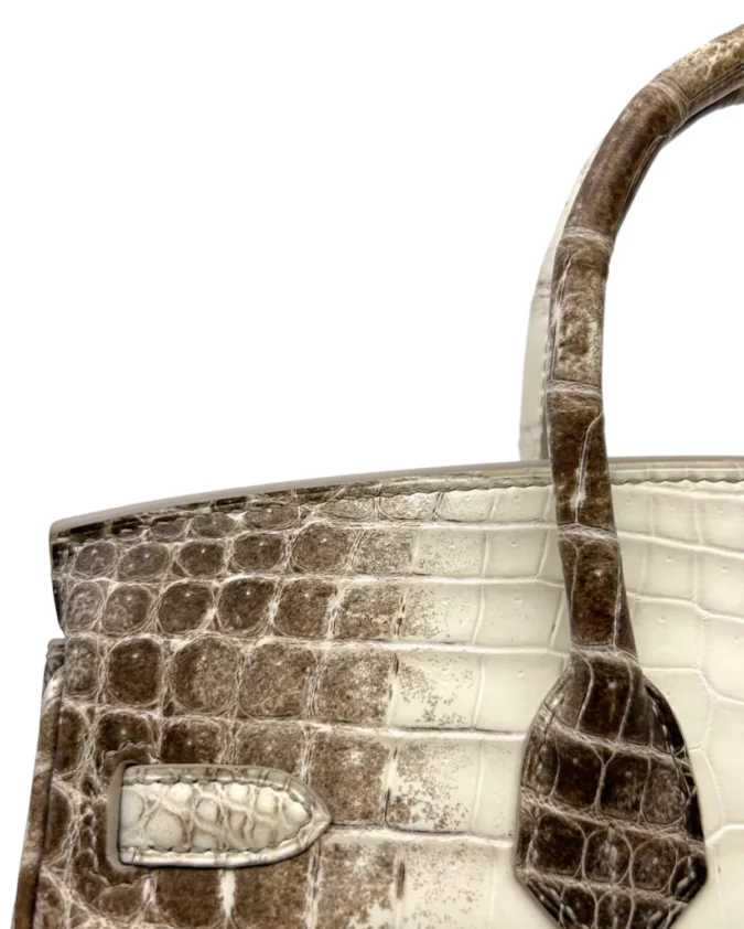 Birkin 25 Niloticus Crocodile Himalaya Blanc – Image 6