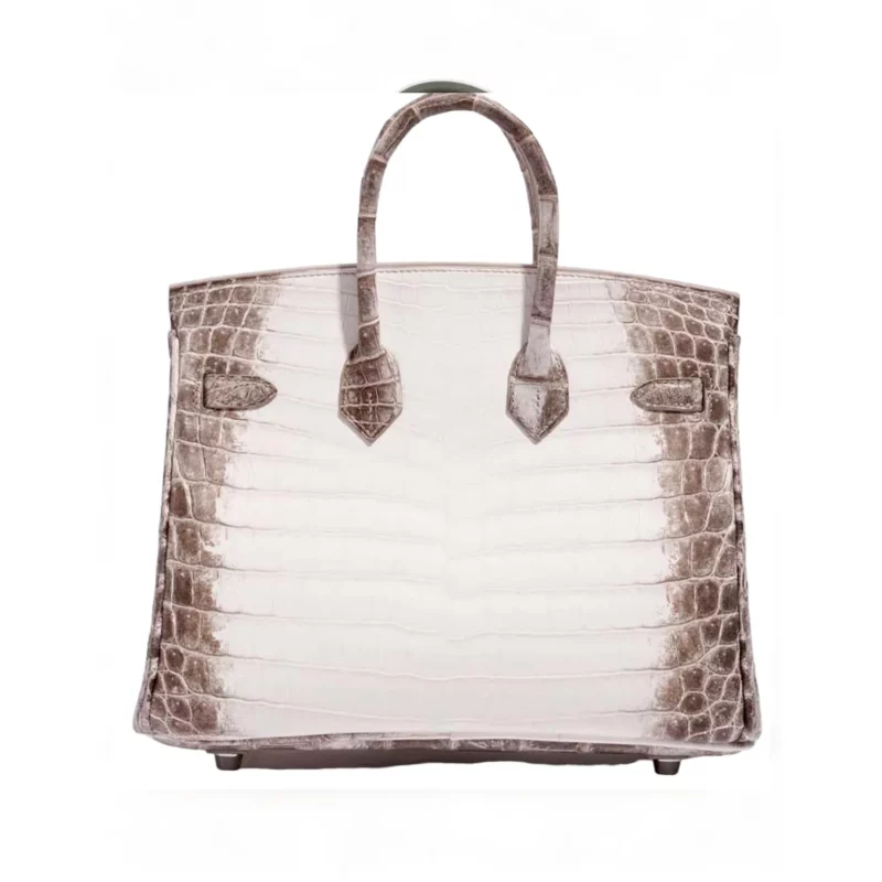Birkin 25 Himalaya – Image 2