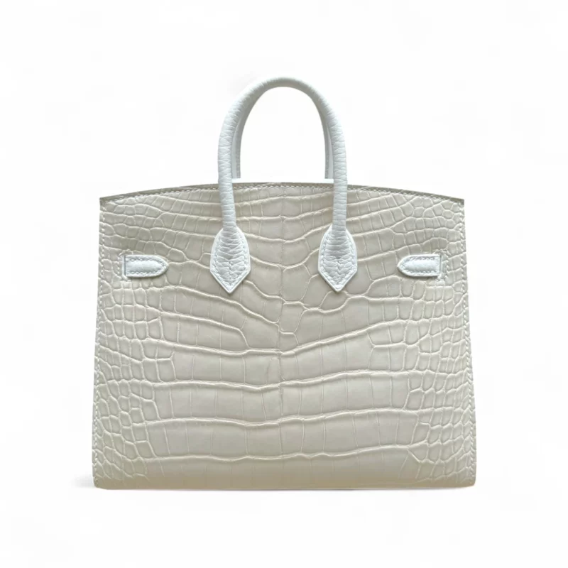 Birkin 20 Faubourg Alligator Mat Béton – Image 2