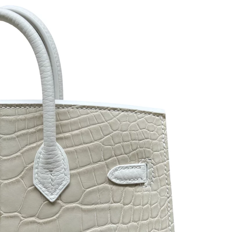 Birkin 20 Faubourg Alligator Mat Béton – Image 9