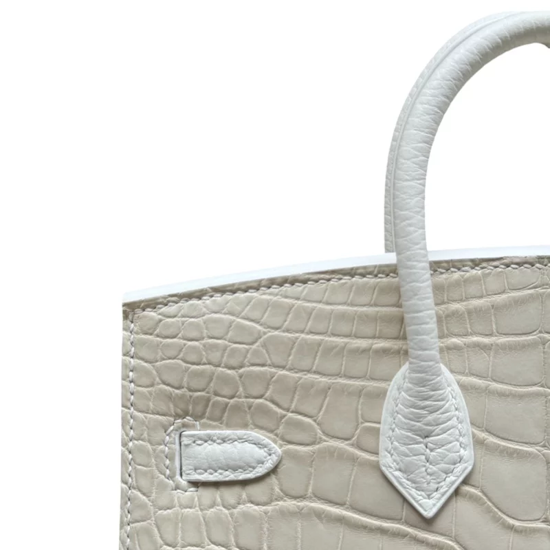 Birkin 20 Faubourg Alligator Mat Béton – Image 8