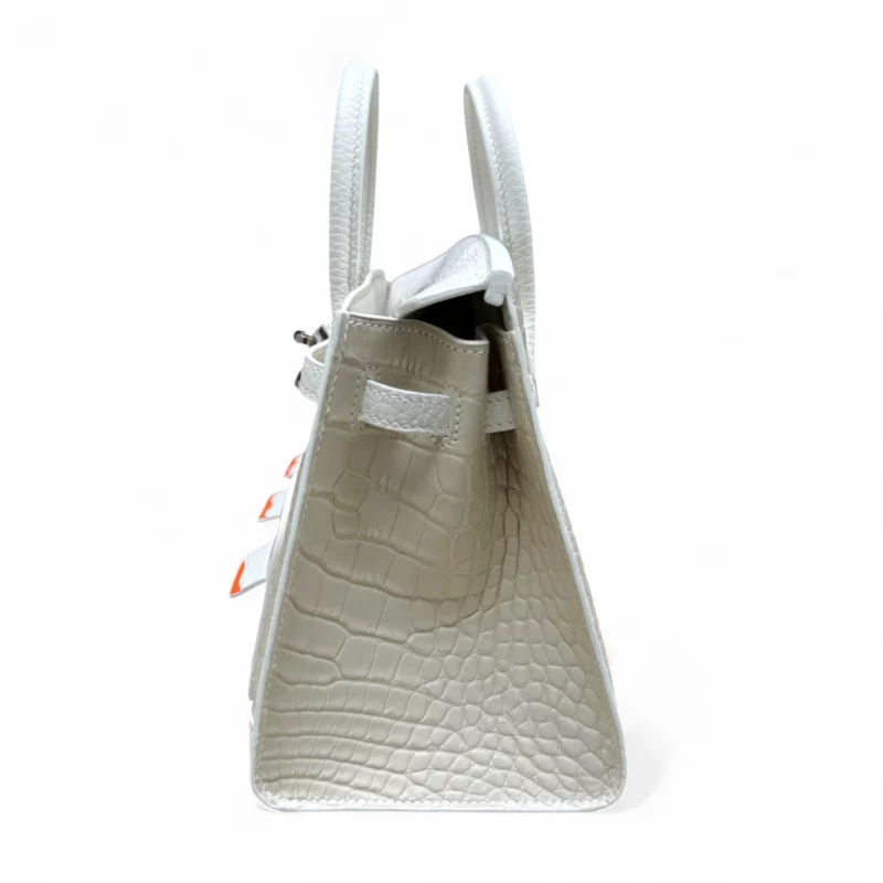 Birkin 20 Faubourg Alligator Mat Béton – Image 5
