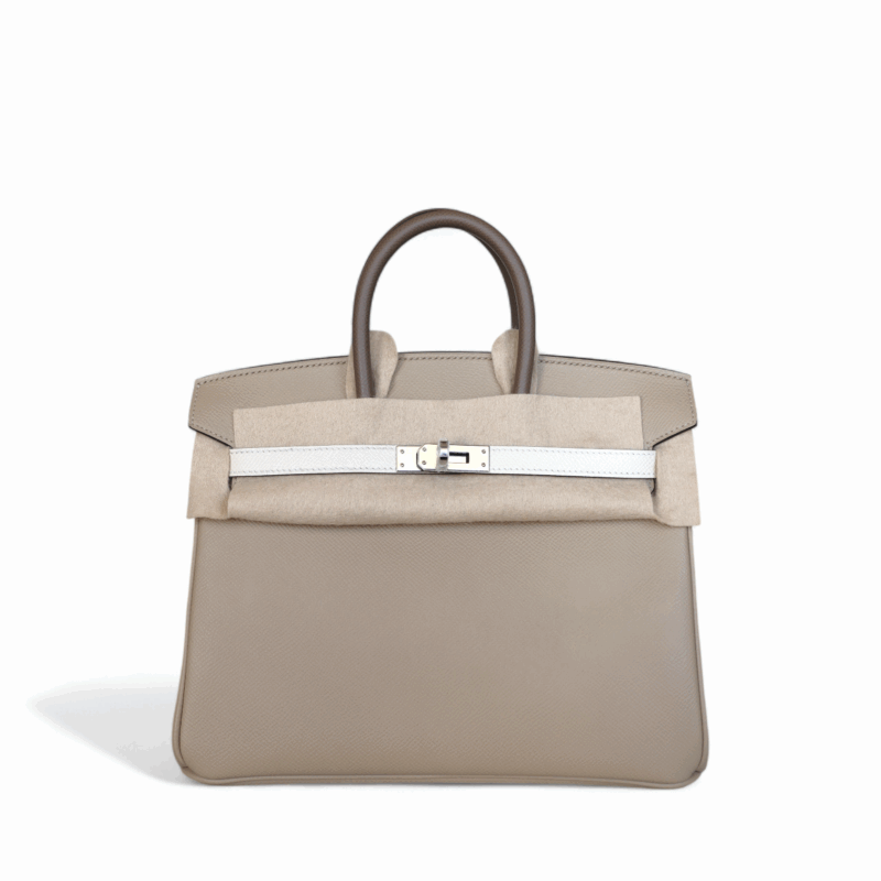 Birkin 25 Tricolore Epsom PHW – Image 11