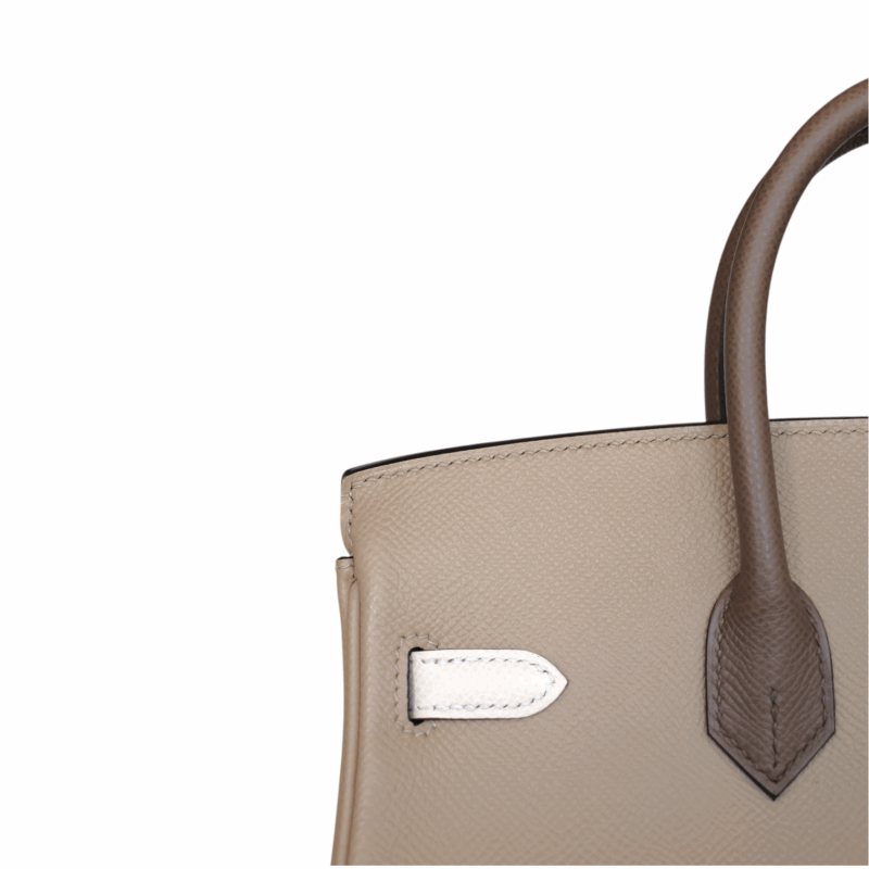 Birkin 25 Tricolore Epsom PHW – Image 5