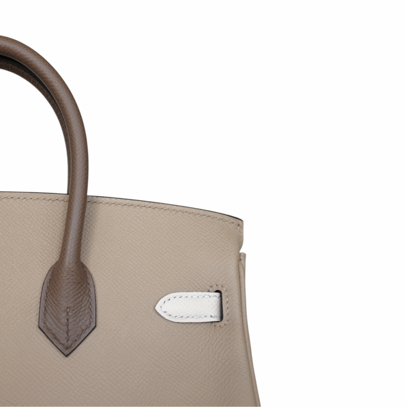 Birkin 25 Tricolore Epsom PHW – Image 6